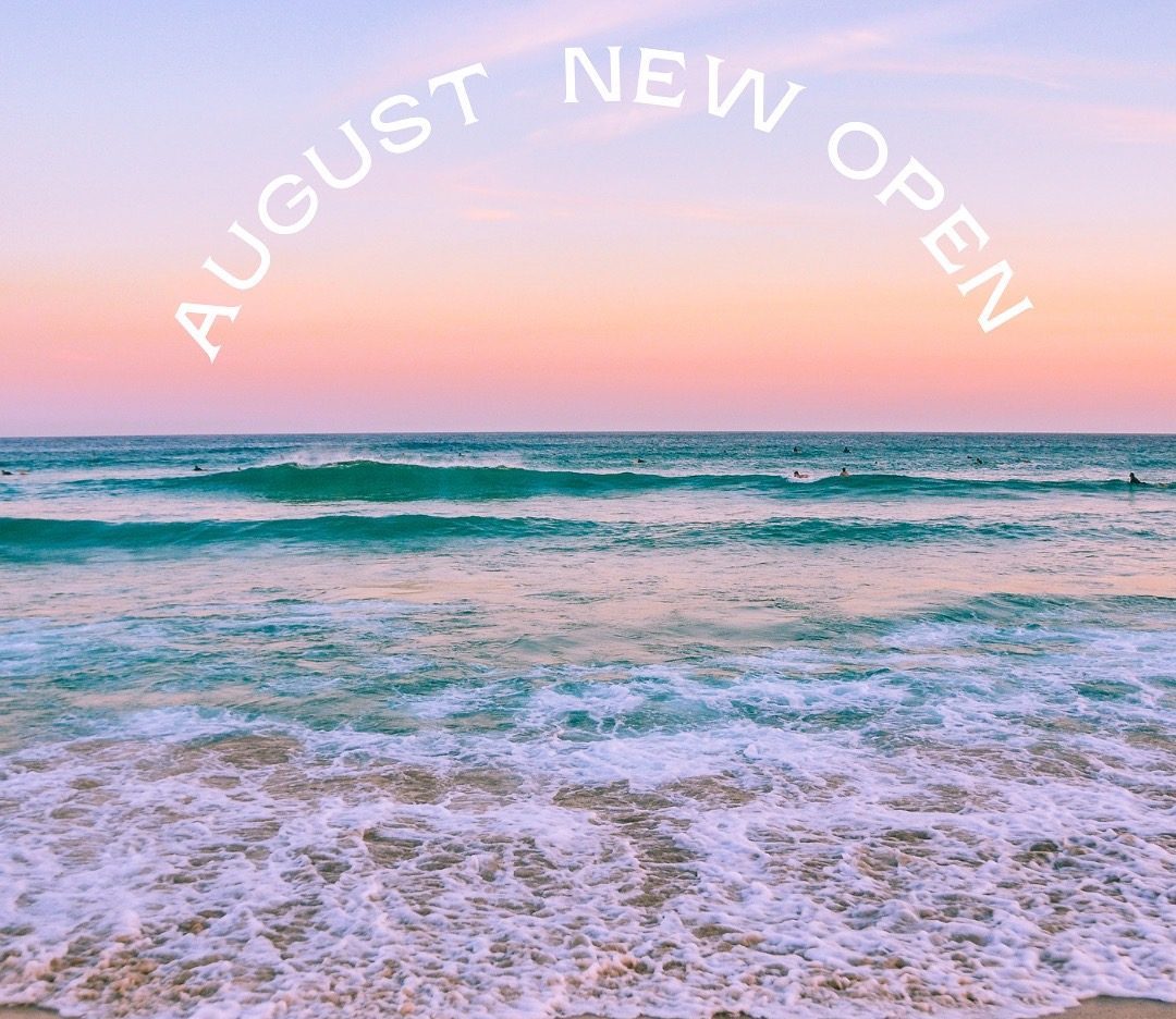 ✨✨8月の出店情報✨✨